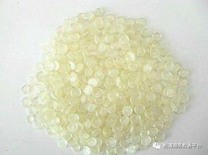 資訊 c5石油樹脂市場